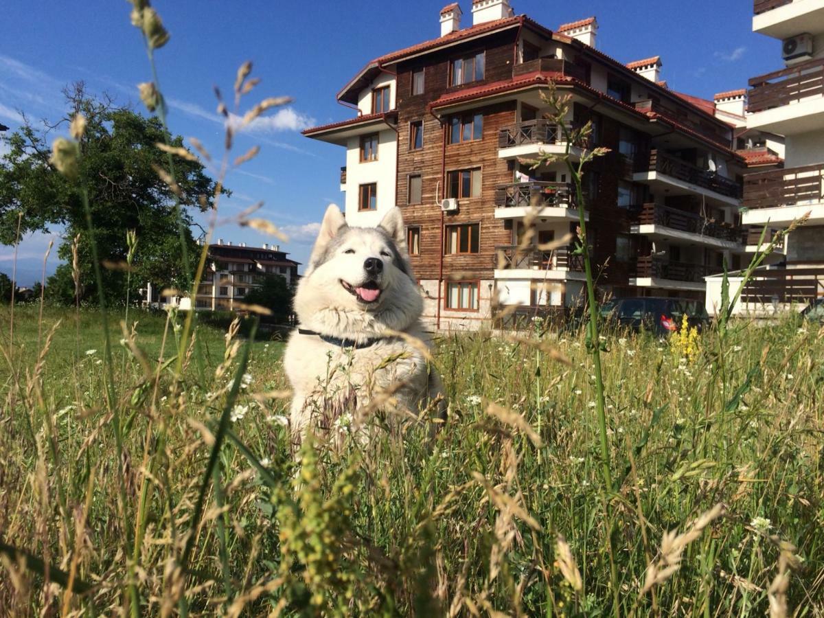 Apartments Four Leaf Clover Bansko To Rent Exteriér fotografie